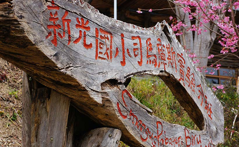 新光國小司馬庫斯實驗分班影像1